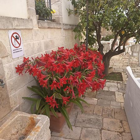 B&B Il Mulino Del Monastero Conversano Exterior foto