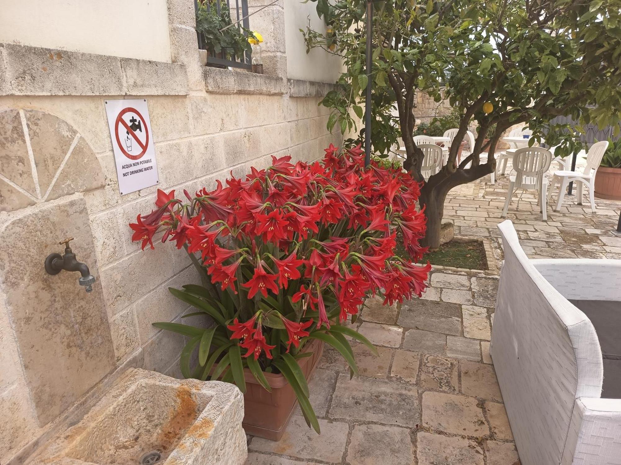 B&B Il Mulino Del Monastero Conversano Exterior foto